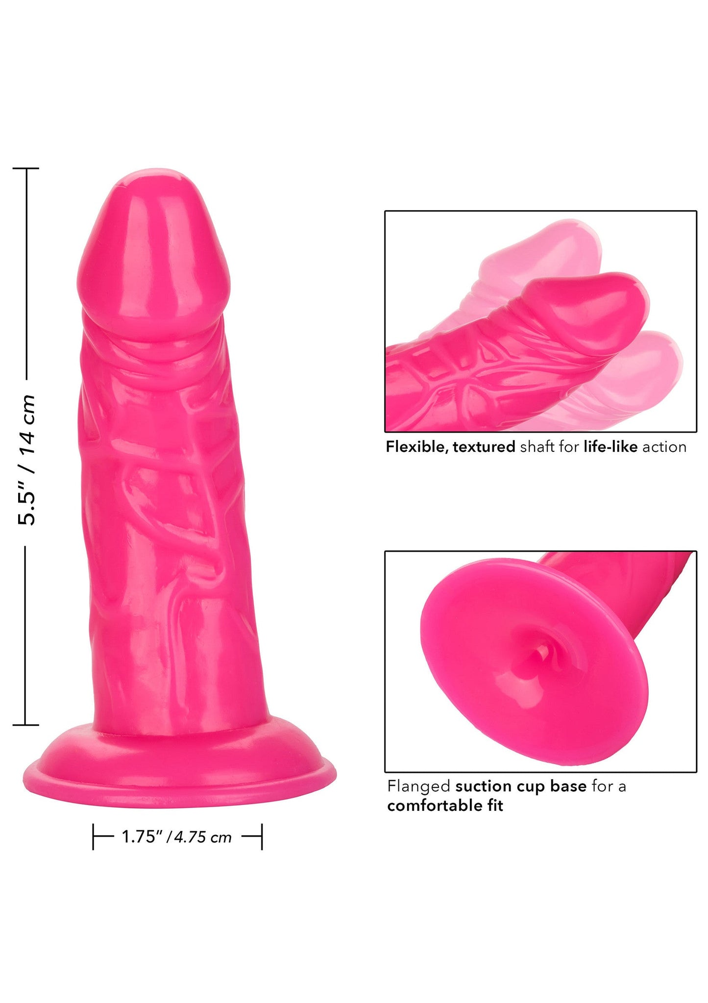 12106 calexotics anal back end chubby