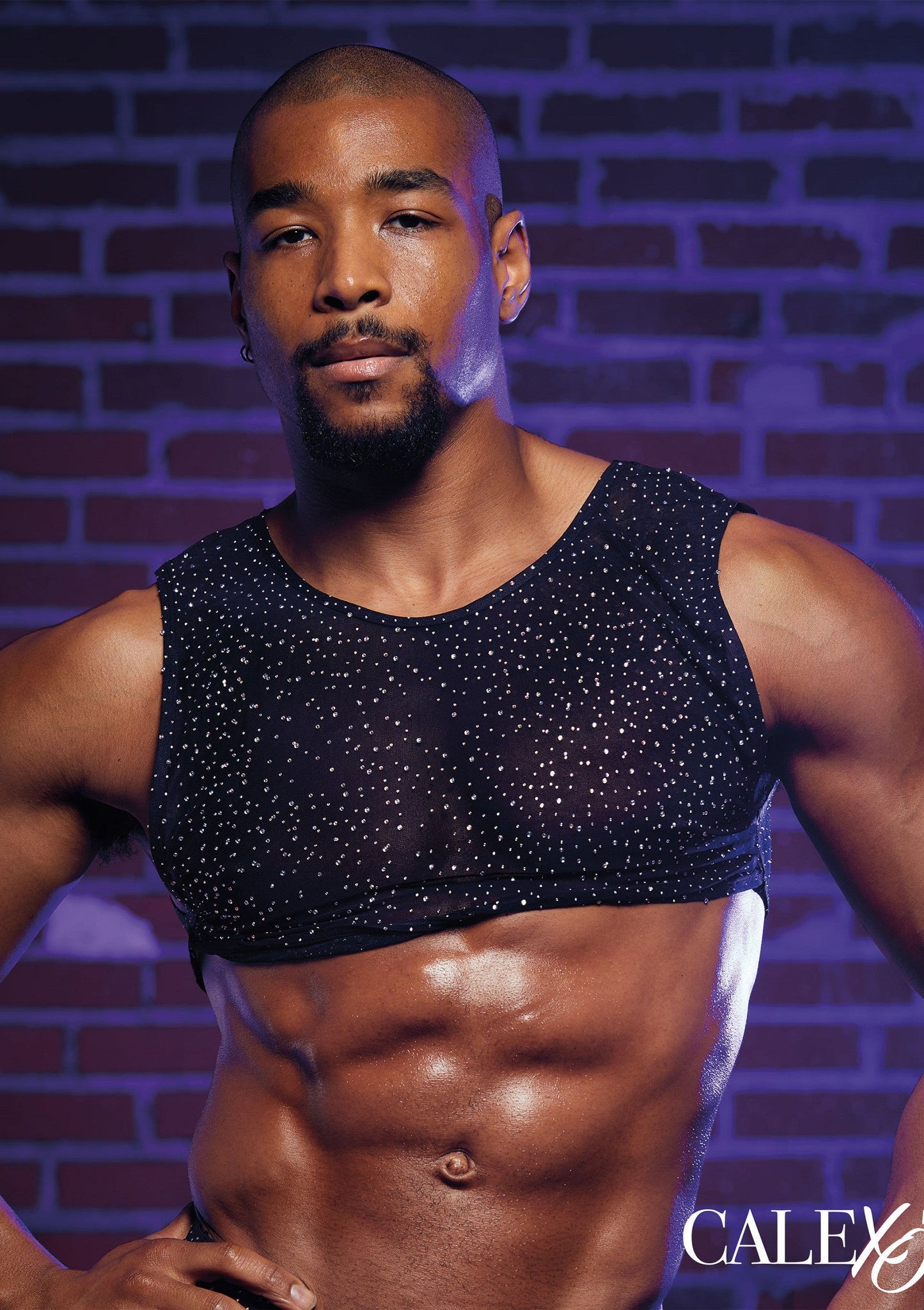 12273 calexotics radiance radiance crop top