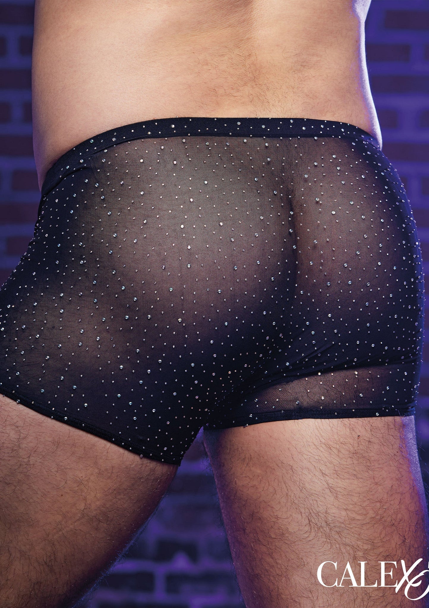 12278 calexotics radiance radiance boxer briefs