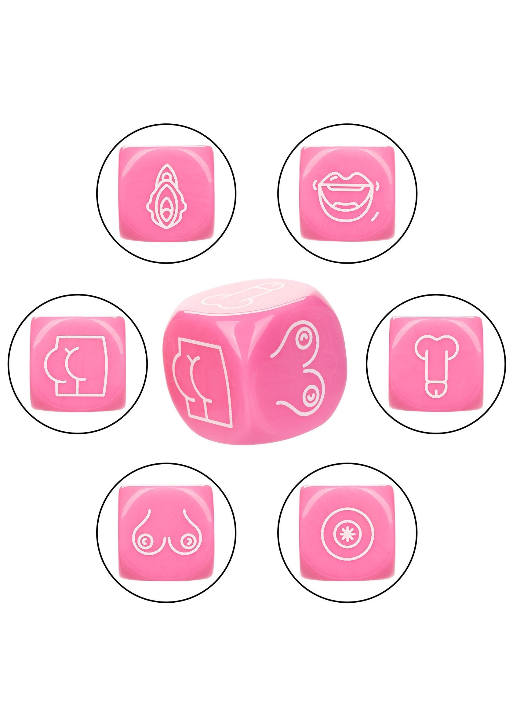 14731 calexotics naughty bits roll with it sex dice game