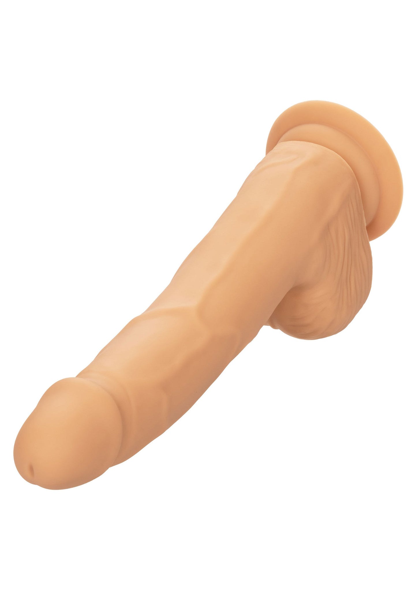 14745 calexotics stud silicone studs 8 inch