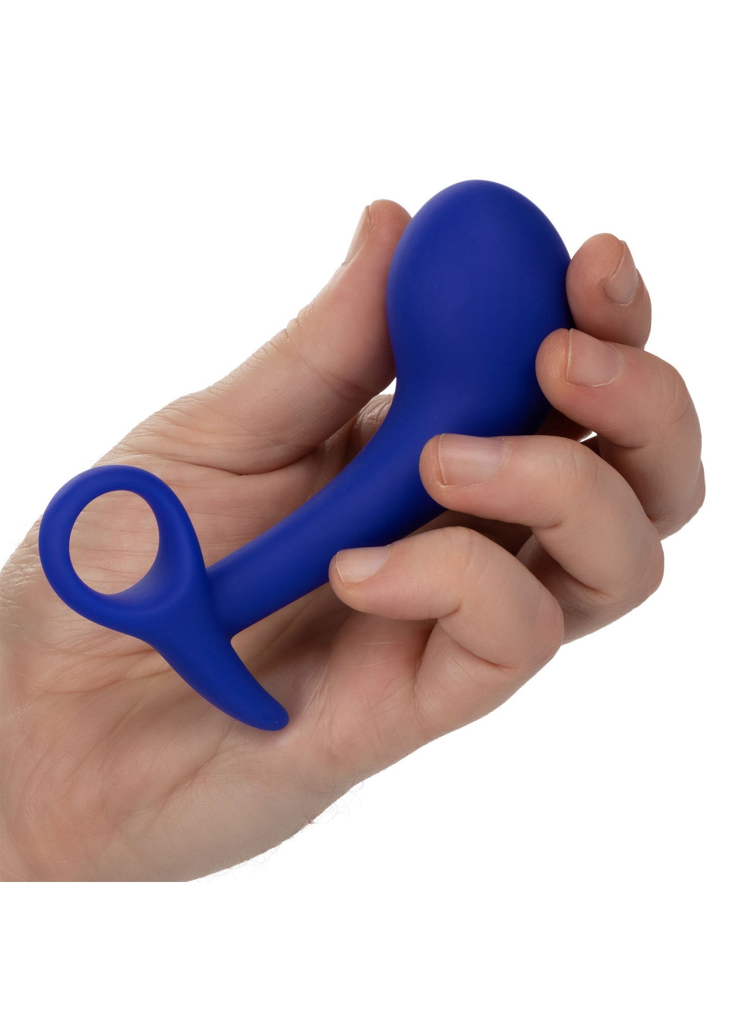14799 calexotics admiral admiral anal training set