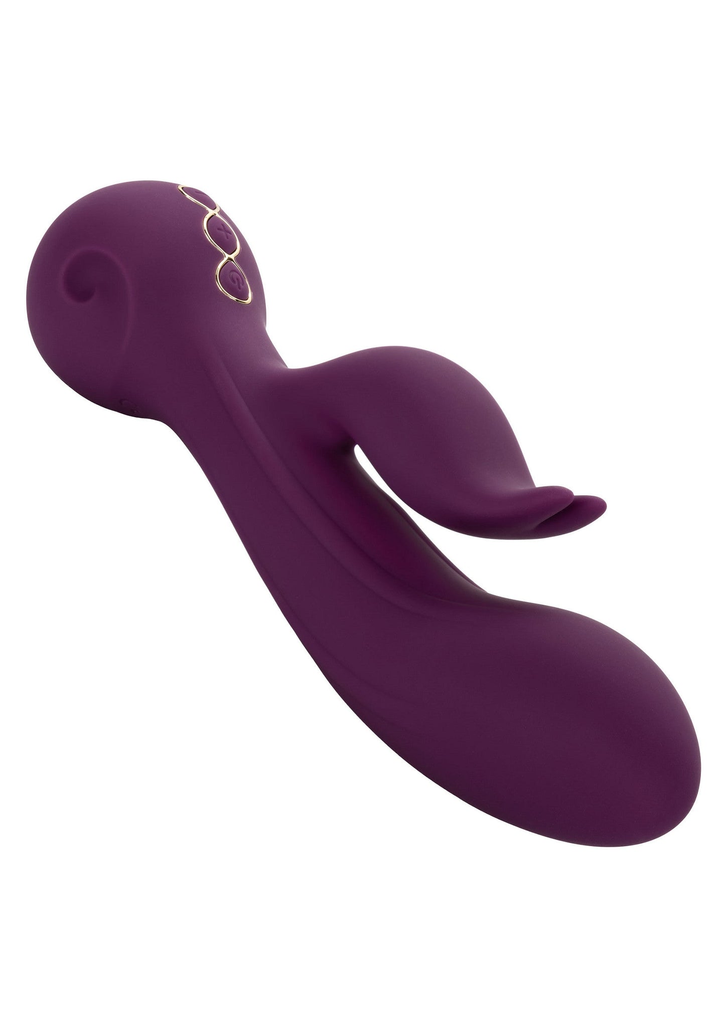 14837 calexotics obsession obsession desire