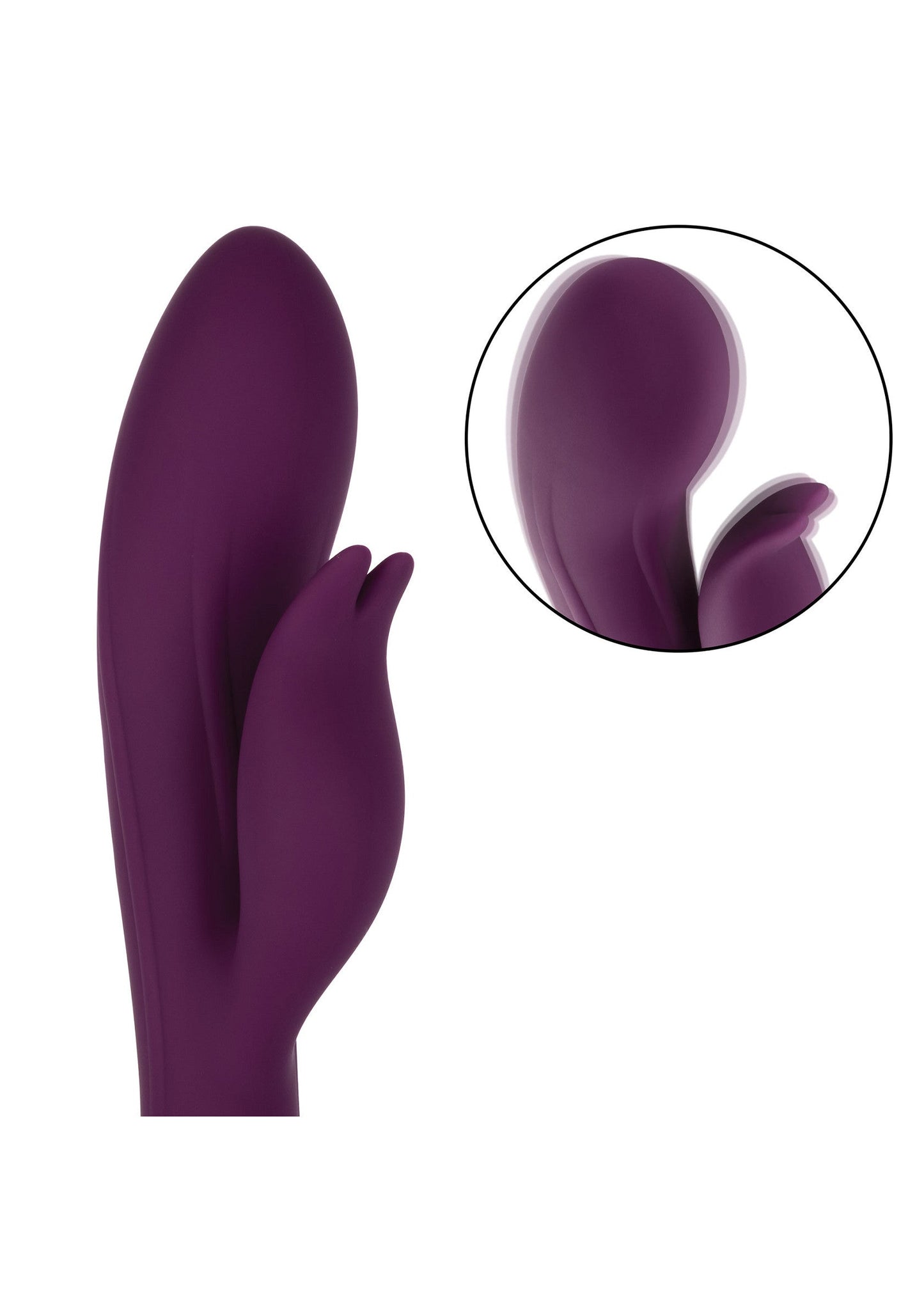 14837 calexotics obsession obsession desire