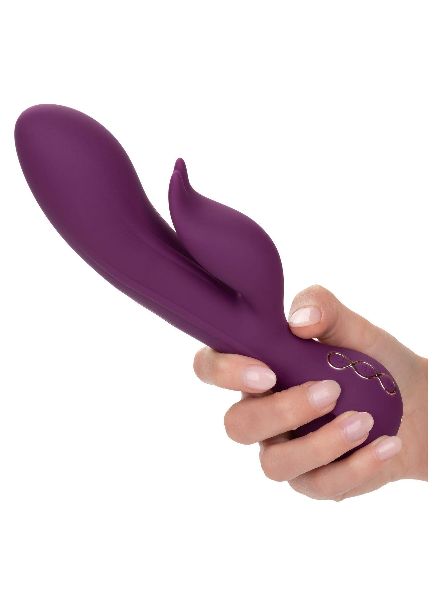 14837 calexotics obsession obsession desire