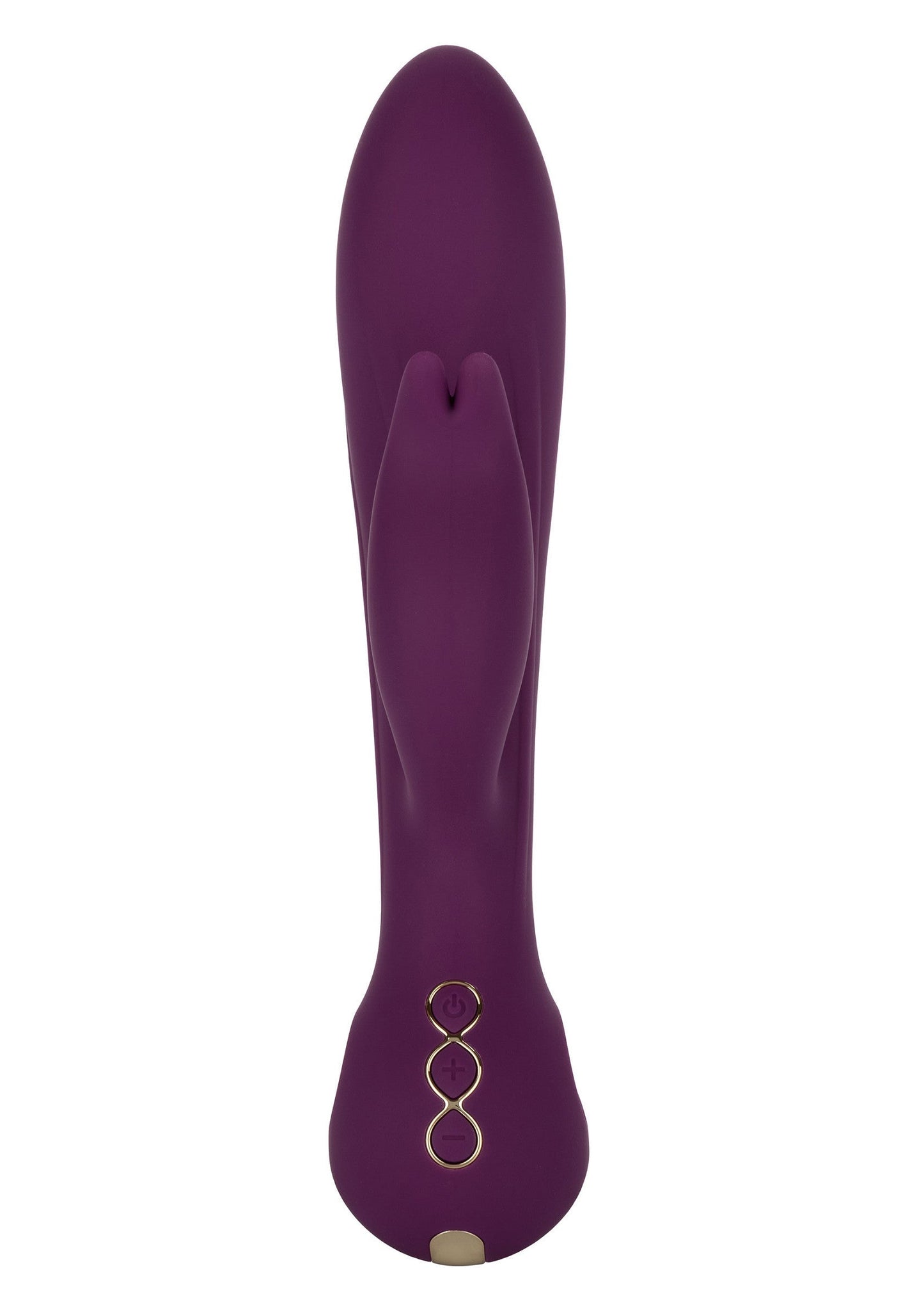 14837 calexotics obsession obsession desire