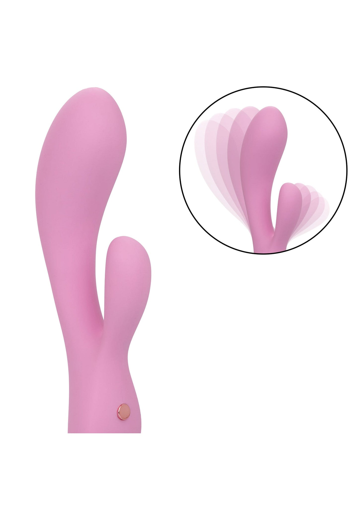 14911 calexotics contour contour zoie