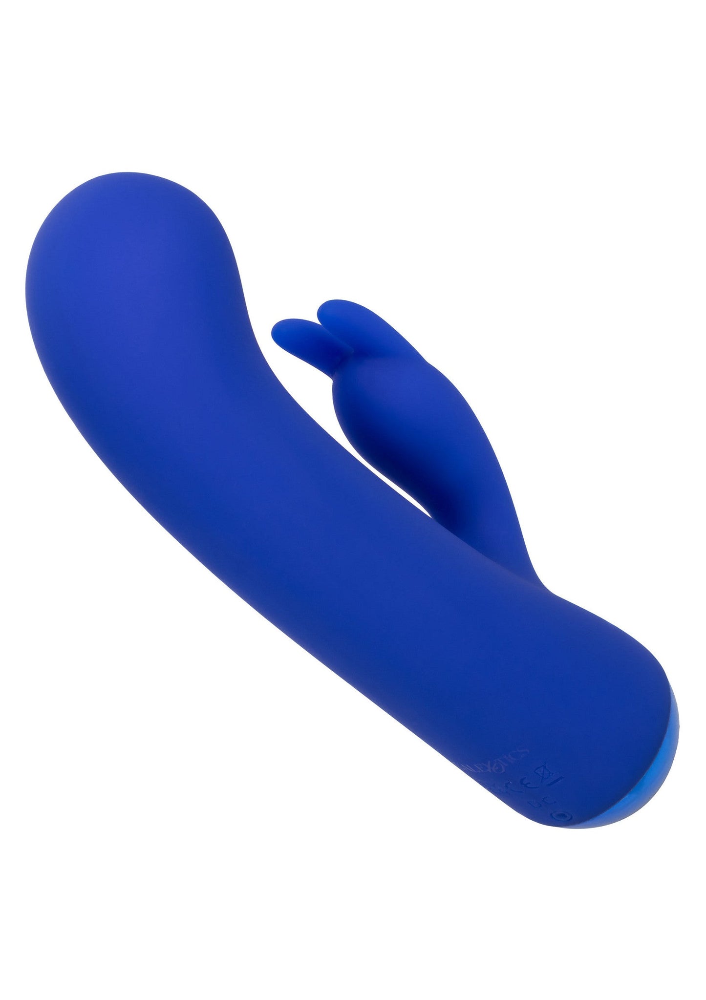 16527 calexotics thicc thicc chubby bunny