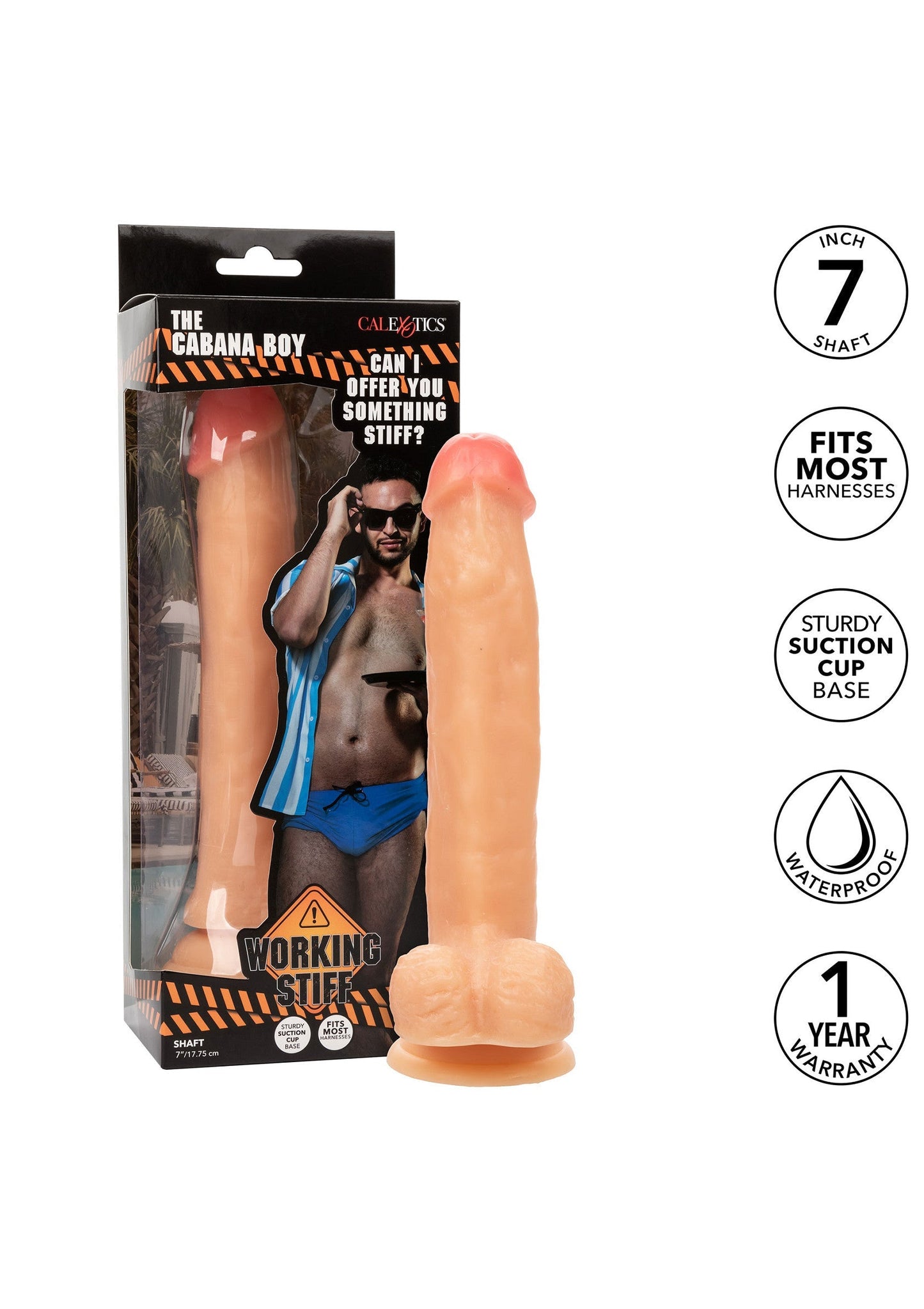 16595 calexotics working stiff working stiff the cabana boy