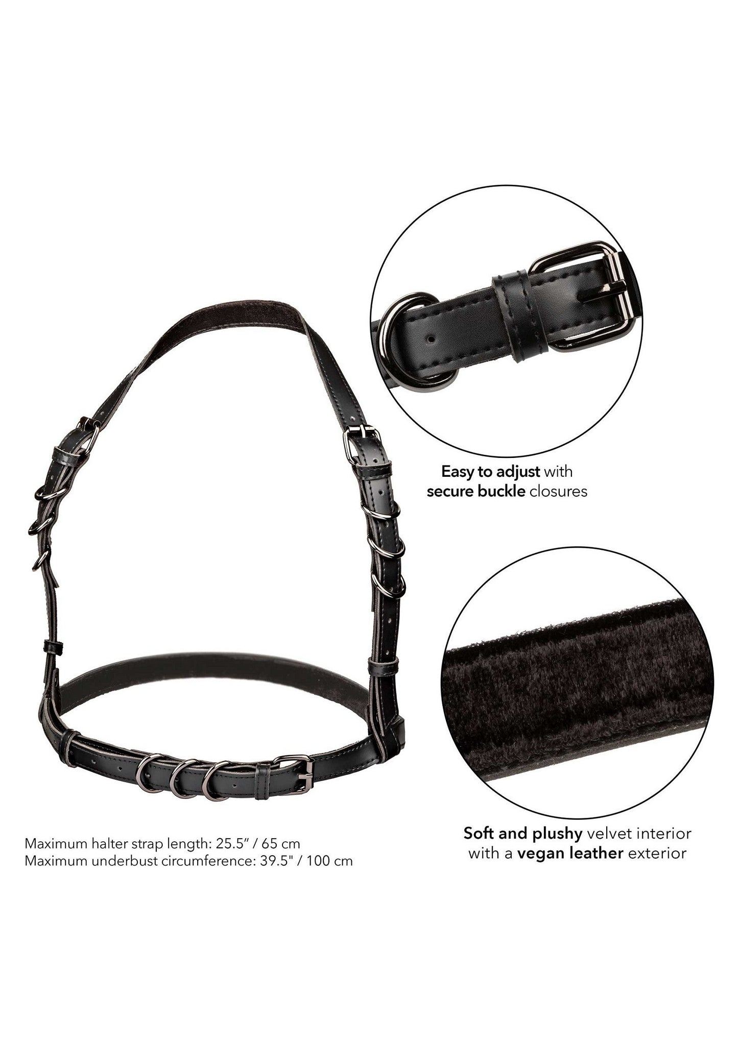 16702 calexotics euphoria halter buckle harness