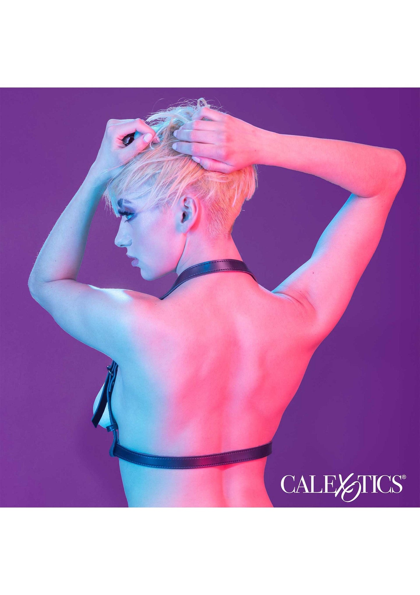 16702 calexotics euphoria halter buckle harness