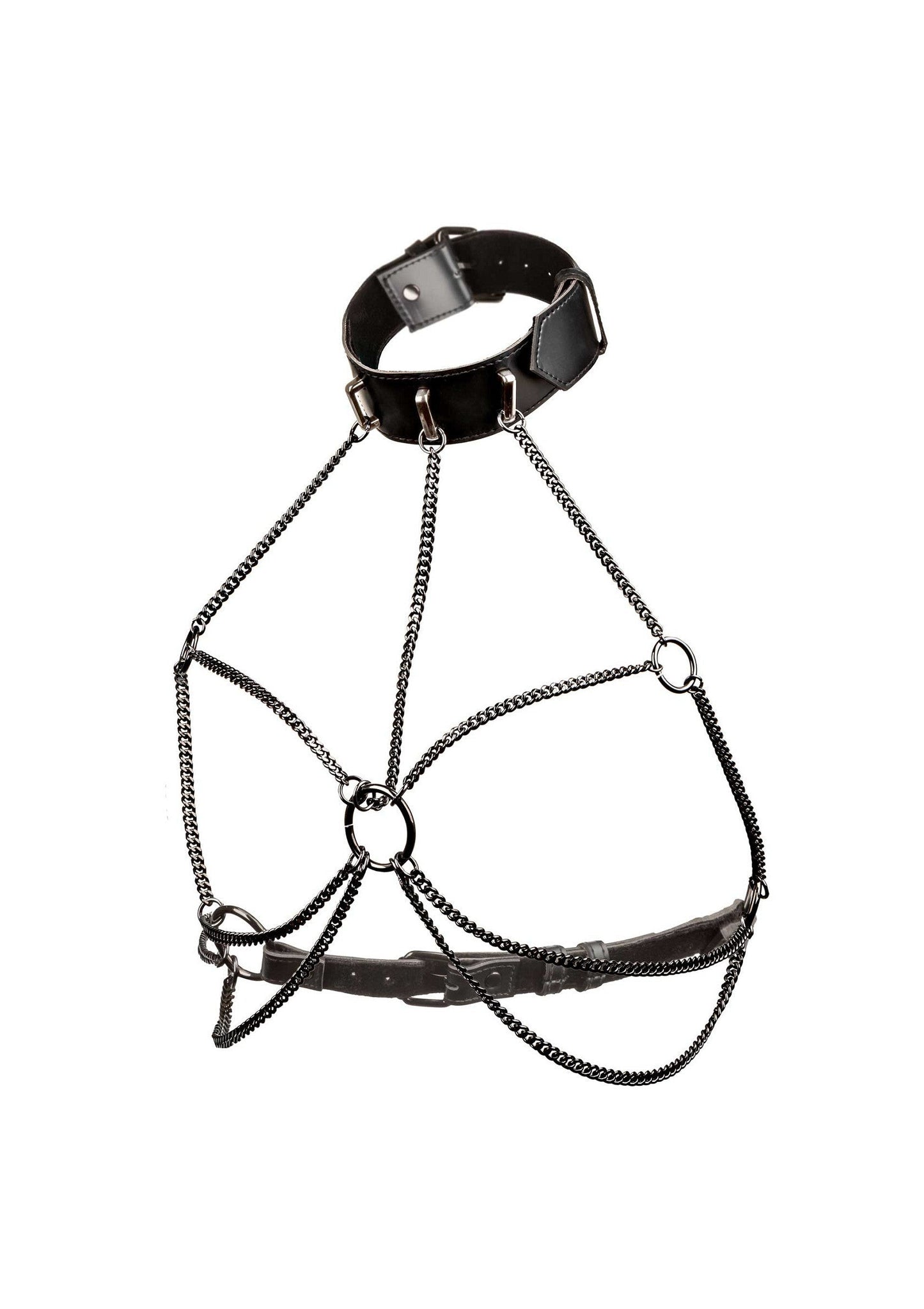 16705 calexotics euphoria chain collar harness plus