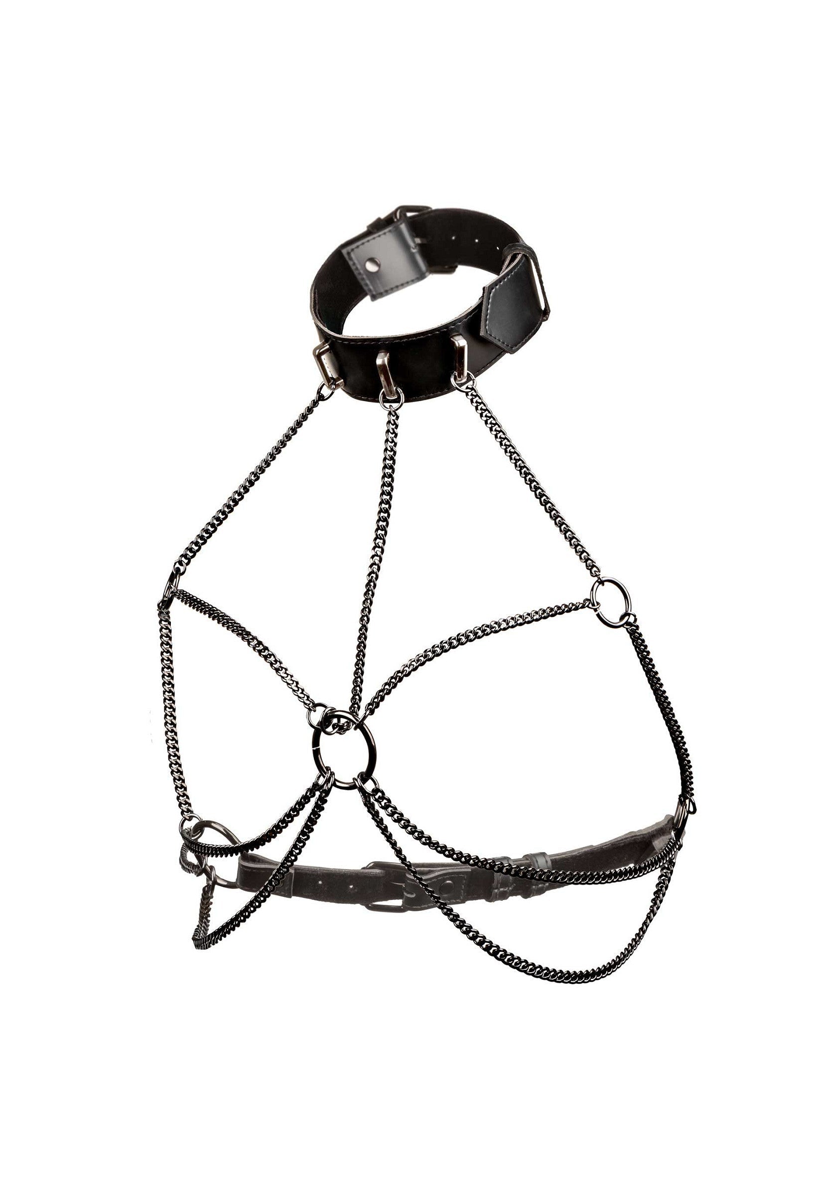 16705 calexotics euphoria chain collar harness plus