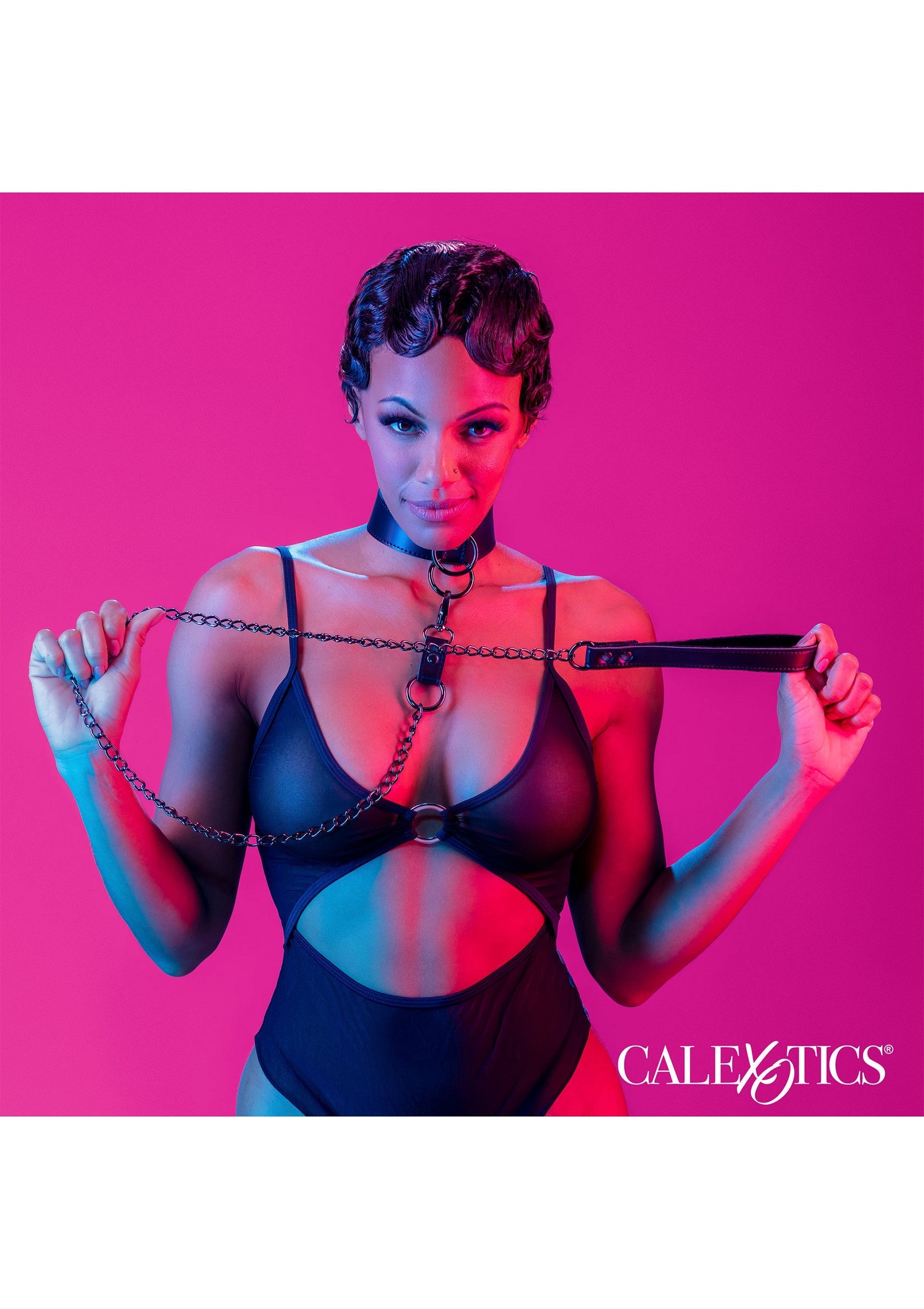 16713 calexotics euphoria collar with chain leash