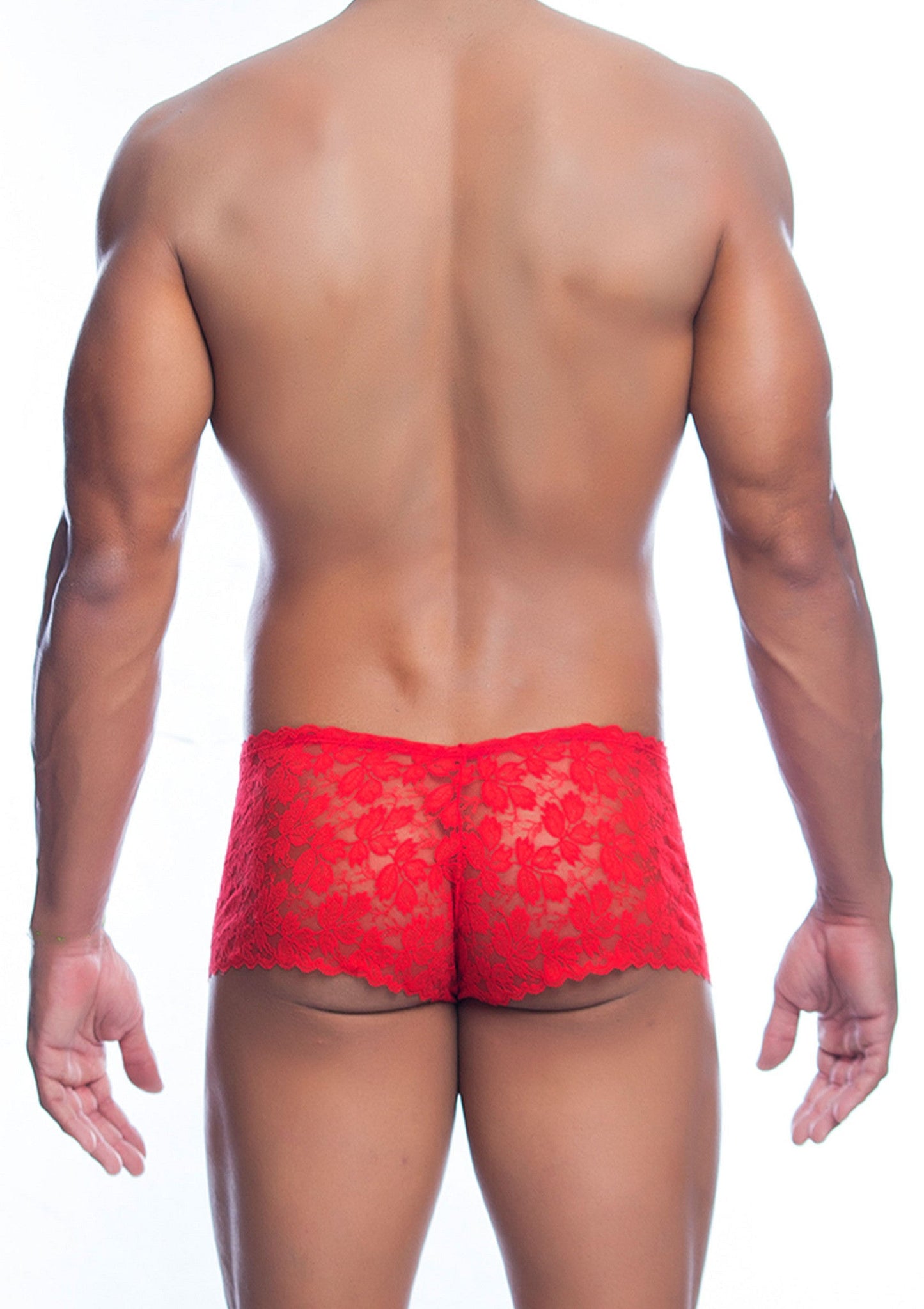 81329 mob eroticwear rose lace boy short
