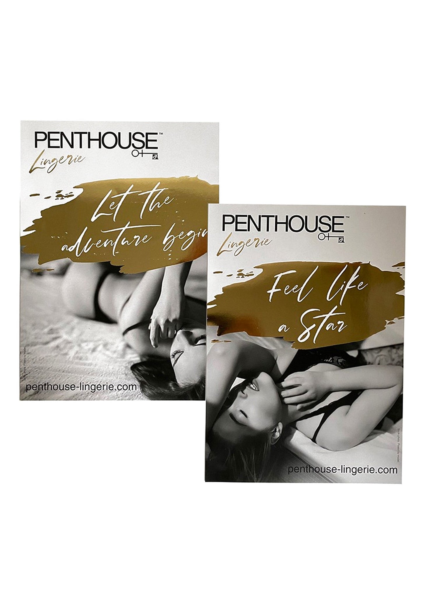 p89500 penthouse penthouse pos toolkit store