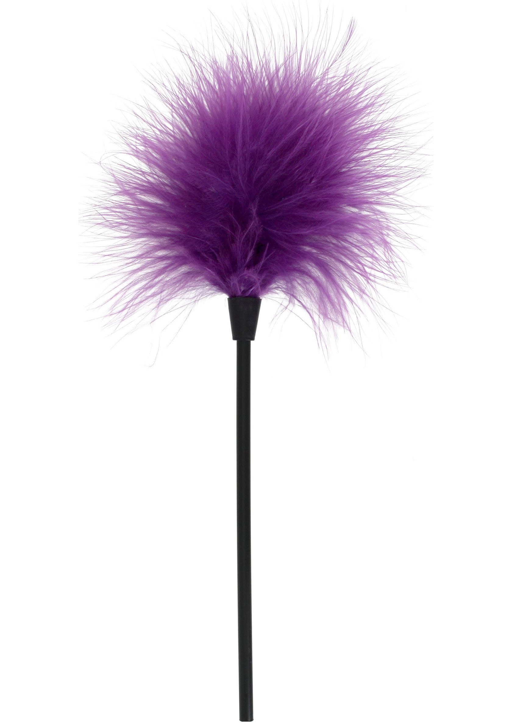 10305 toyjoy basics sexy feather tickler