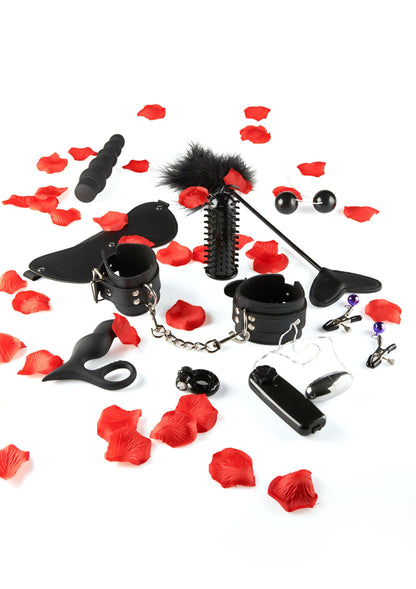 10438 toyjoy just for you lovetoy starter kit