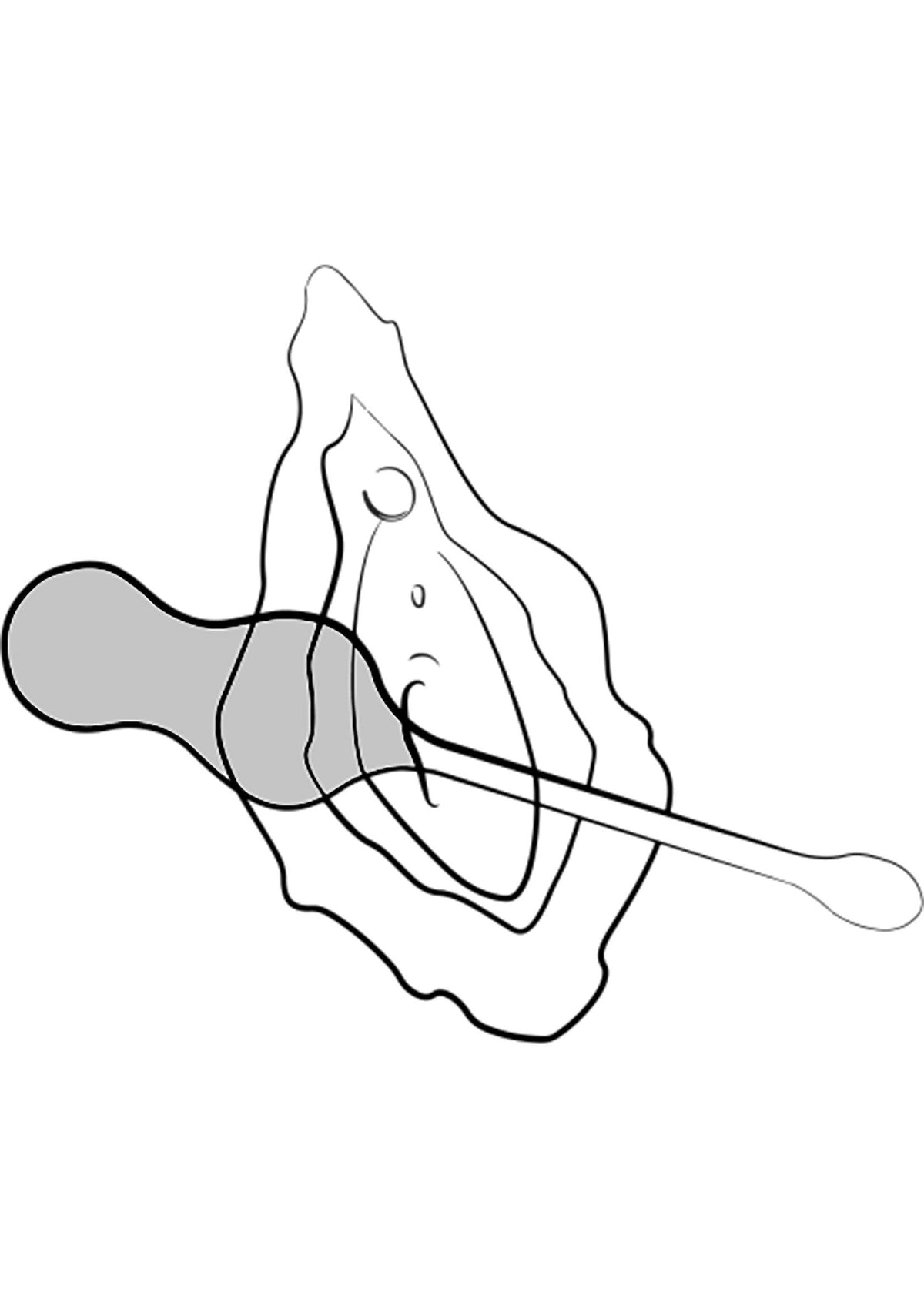 10988 romp cello