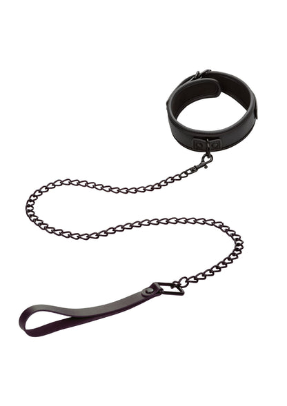 11932 calexotics nocturnal nocturnal collar leash