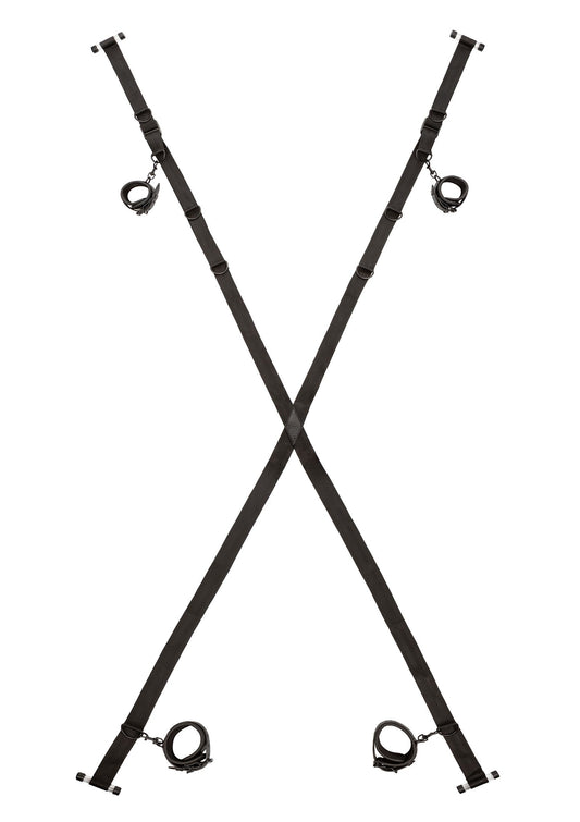 11941 calexotics nocturnal nocturnal over the door cross