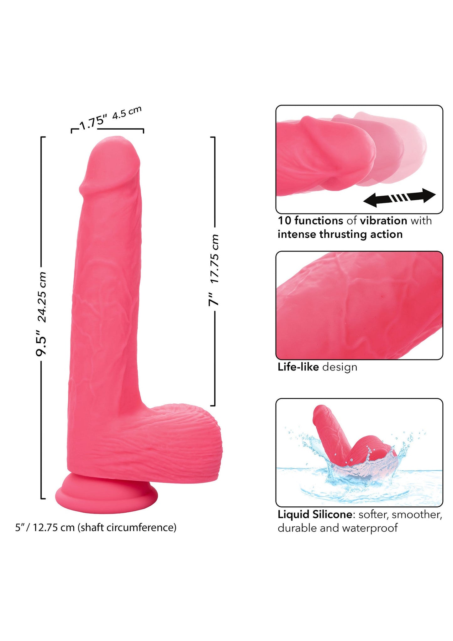11981 calexotics stud rumbling thrusting studs