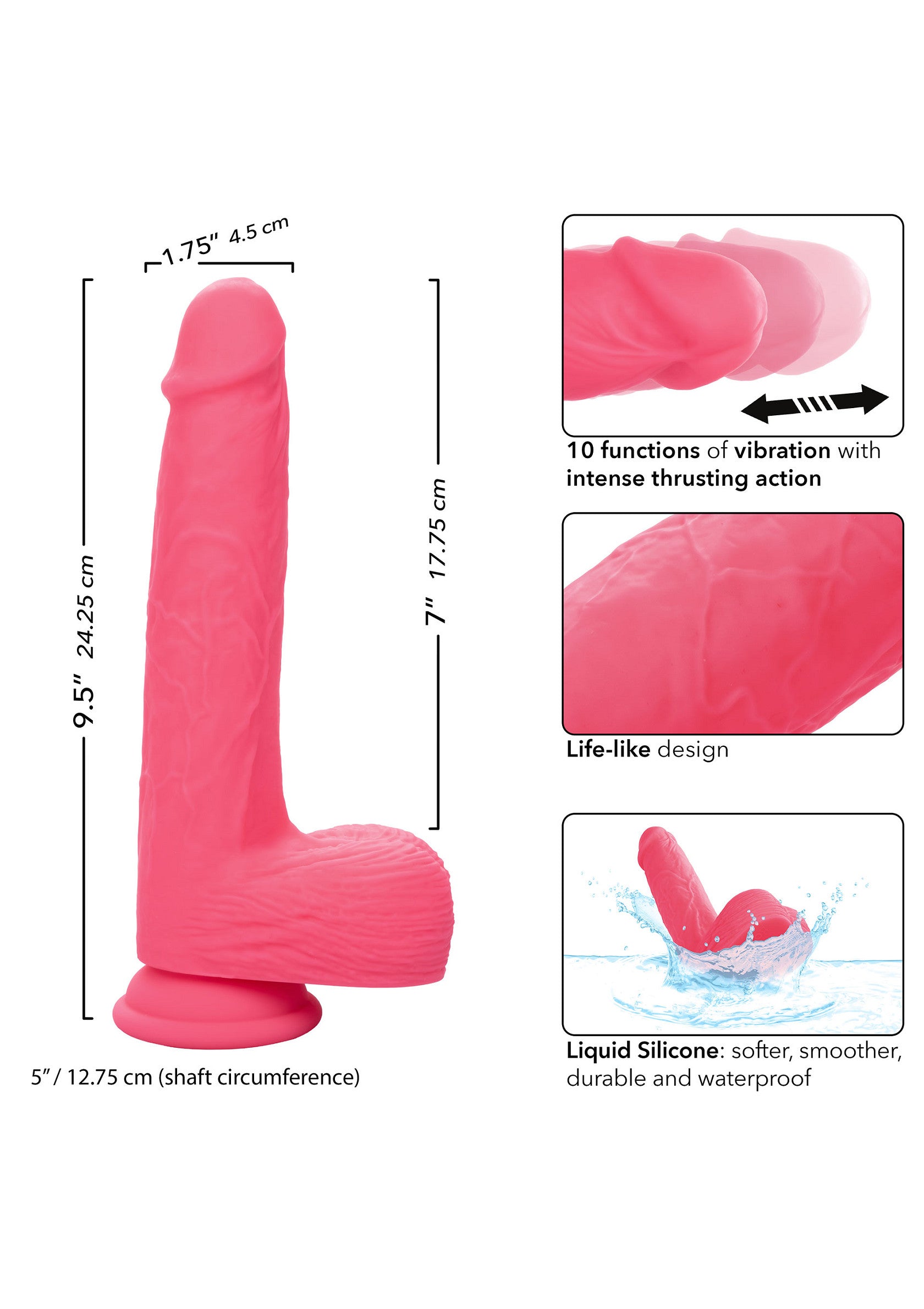 11981 calexotics stud rumbling thrusting studs