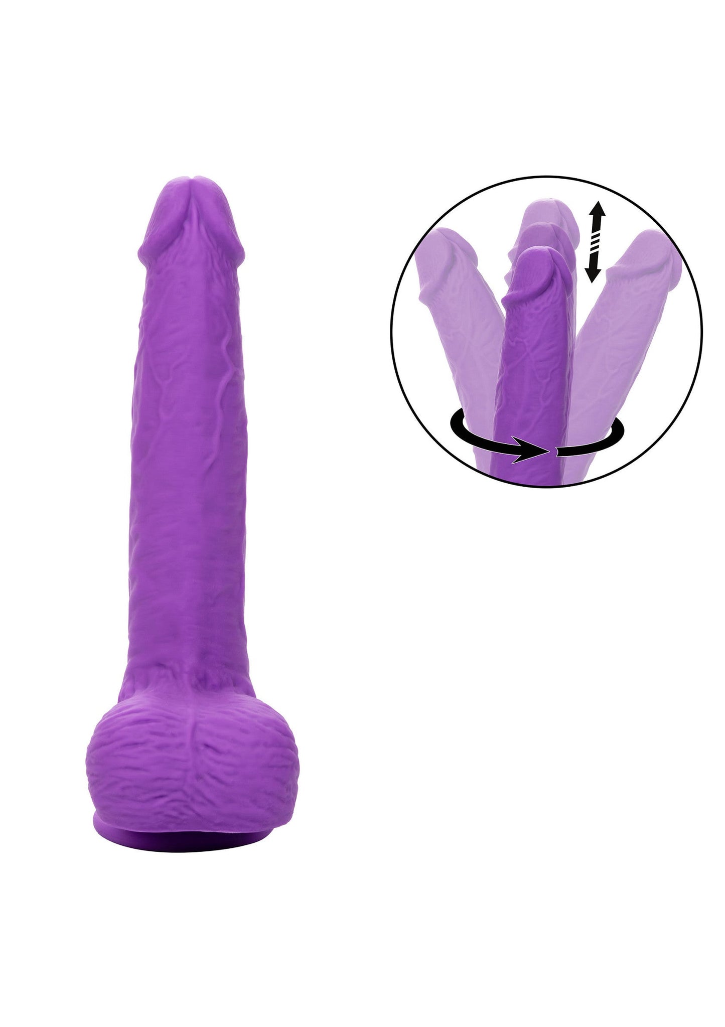 11982 calexotics stud gyrating thrusting studs