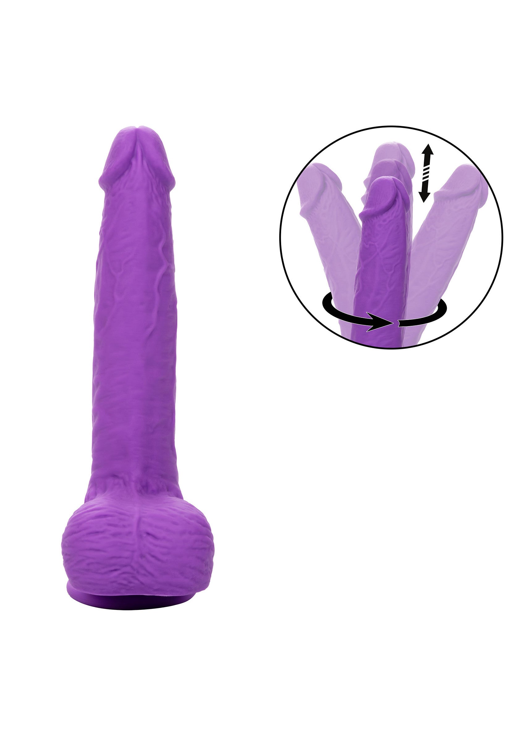 11982 calexotics stud gyrating thrusting studs