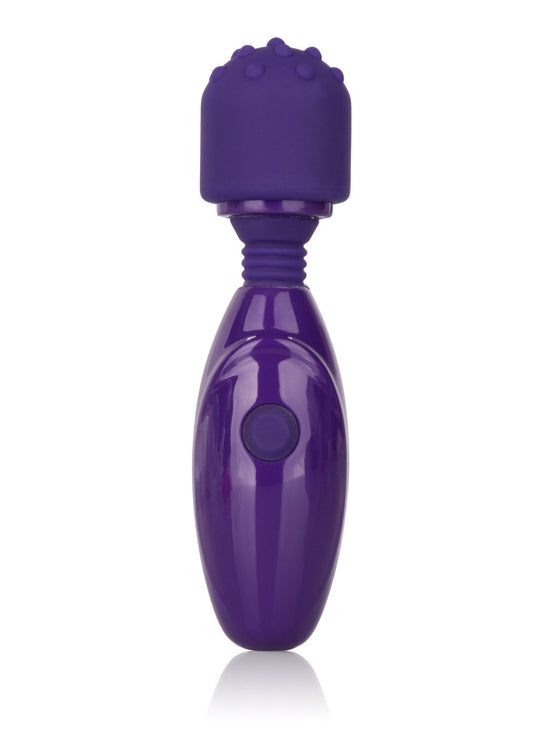 12025 calexotics tiny teaser tiny teasers nubby
