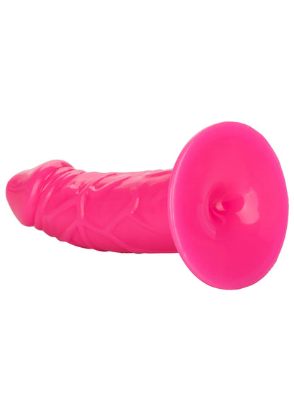 12106 calexotics anal back end chubby