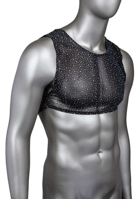 12273 calexotics radiance radiance crop top