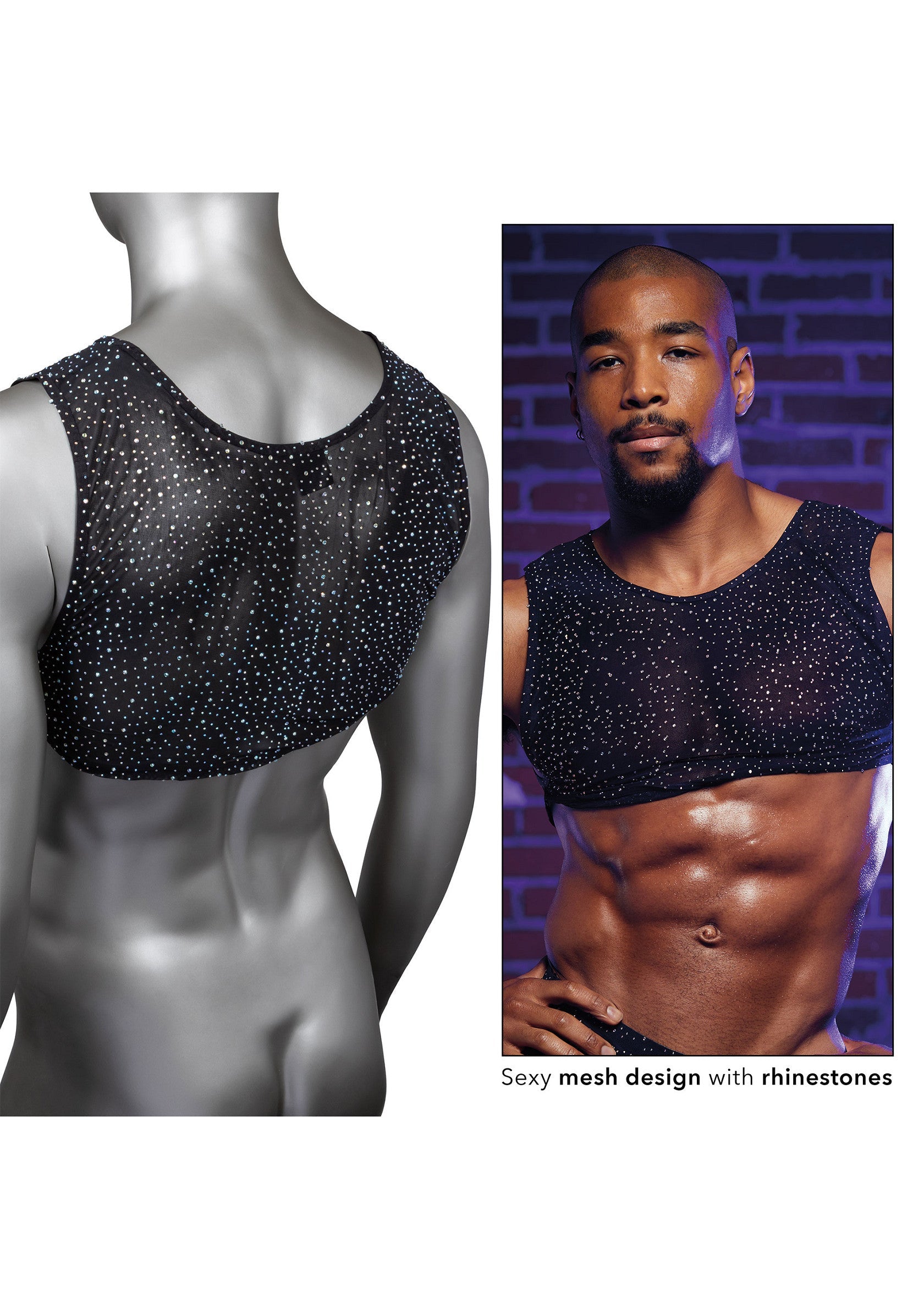 12273 calexotics radiance radiance crop top