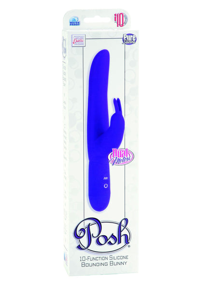 12485 calexotics personality vibes bounding bunny