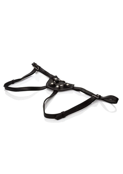 12857 calexotics her royal harness her royal harness the countess