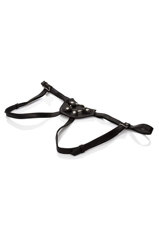 12857 calexotics her royal harness her royal harness the countess