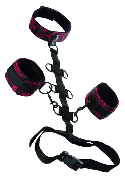 13024 calexotics scandal scandal collar body restraint