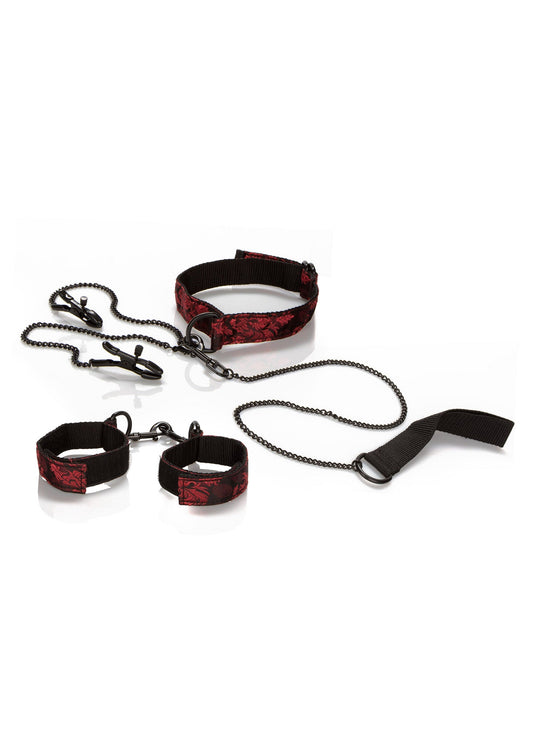 13027 calexotics scandal scandal submissive kit