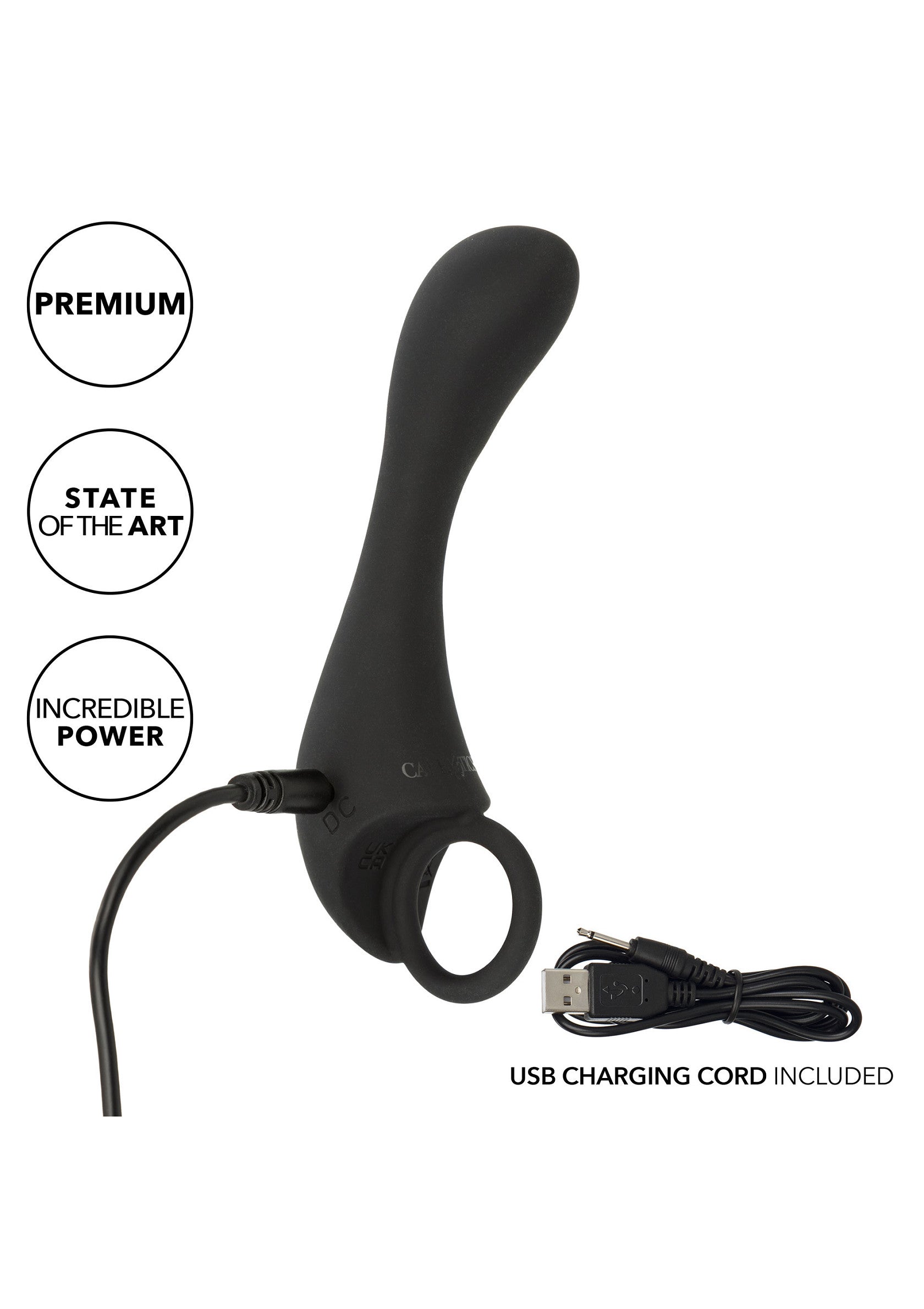 13176 calexotics dr joel kaplan rechargeable prostate locator