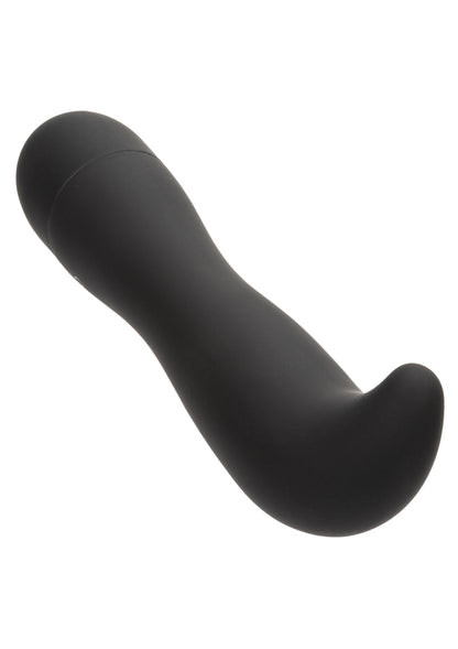 13193 calexotics dr joel kaplan rechargeable prostate probe