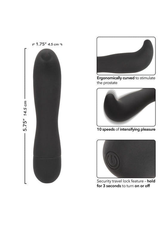 13193 calexotics dr joel kaplan rechargeable prostate probe