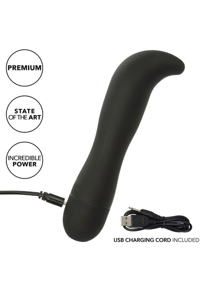 13193 calexotics dr joel kaplan rechargeable prostate probe