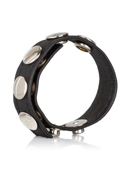 13267 calexotics colt gear colt leather cb strap 5 snap