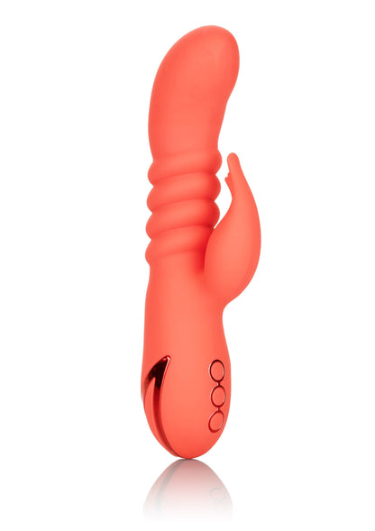 13453 calexotics california dreaming orange county cutie
