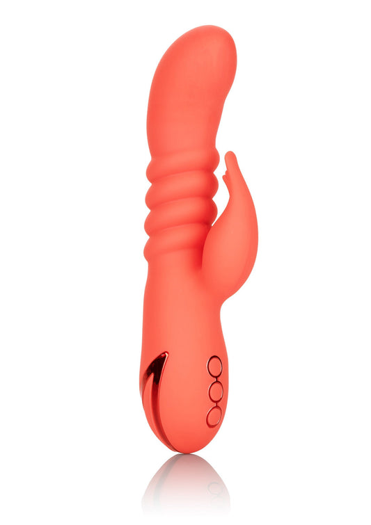 13453 calexotics california dreaming orange county cutie