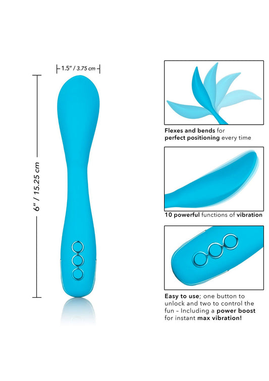 13458 calexotics california dreaming palm springs pleaser