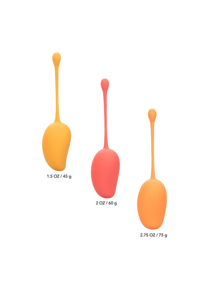 13474 calexotics kegel exercisers kegel training set mango