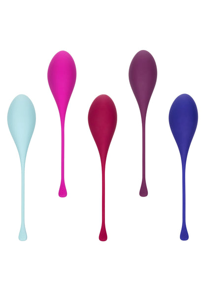 13538 calexotics kegel exercisers kegel training 5 pcs
