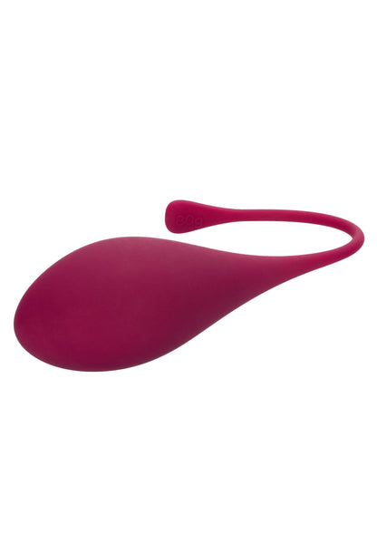 13538 calexotics kegel exercisers kegel training 5 pcs