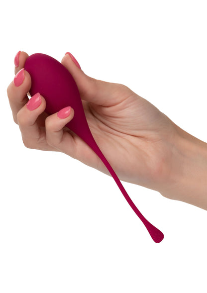 13538 calexotics kegel exercisers kegel training 5 pcs